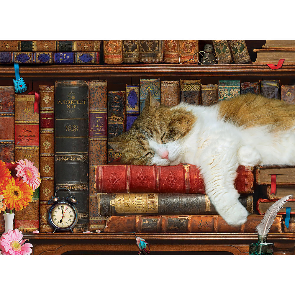 Puzzle Cat Bookshelf, 1 000 pieces