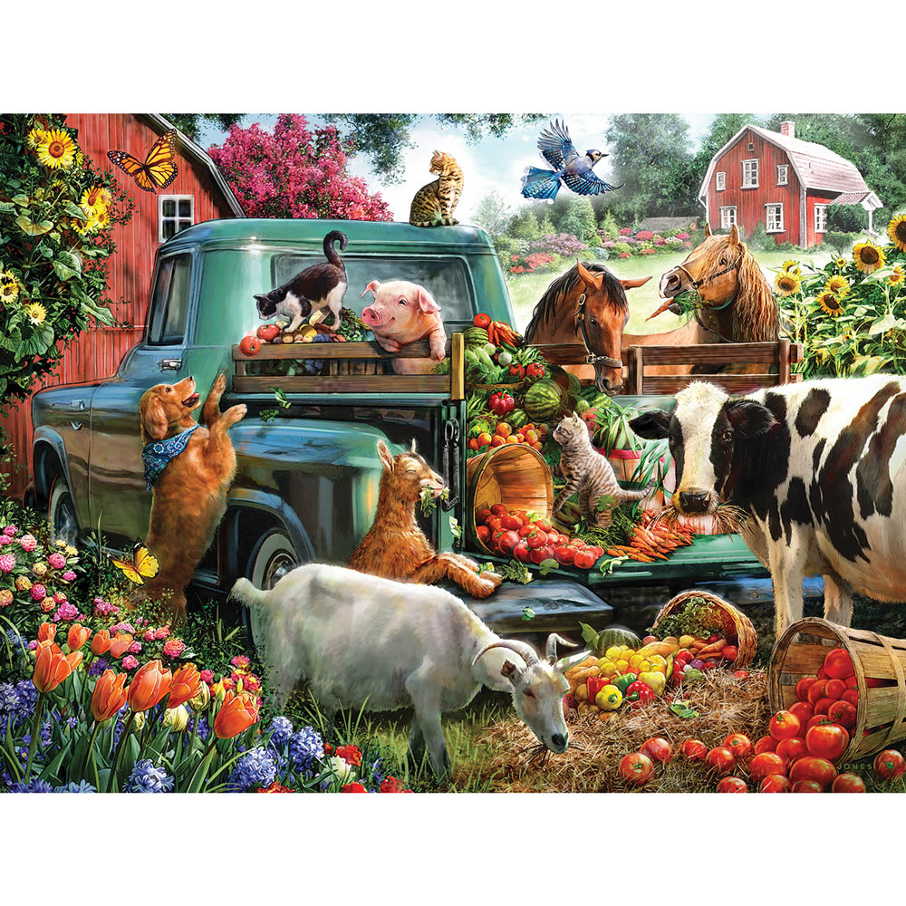 Country Fun 4-in-1 Multi-Pack 1000 Piece Puzzle Set