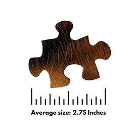 Noah's Ark 100 Large Piece Jigsaw Puzzle