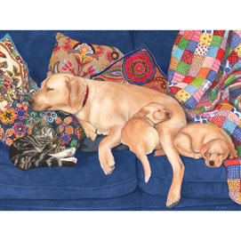 Snooze Time 500 Piece Jigsaw Puzzle