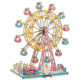 Three Dimensional Ferris Wheel Puzzle