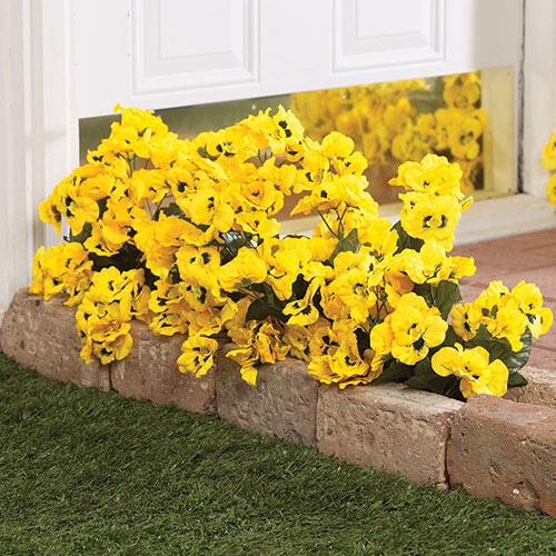 All Weather Forever Blooms- Pansy Yellow