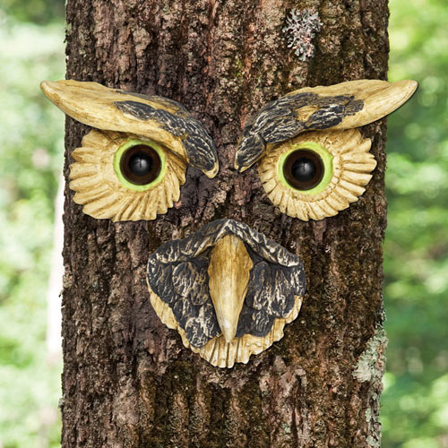 Owl Face Tree Hugger
