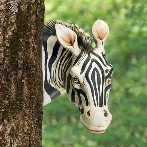 Zebra Tree Hugger