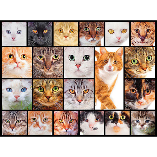 Cats 300 Large Piece Collage Jigsaw Puzzle