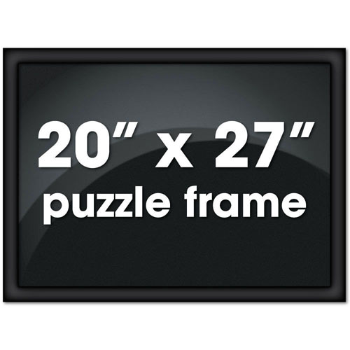 20 x 27 Black Frame