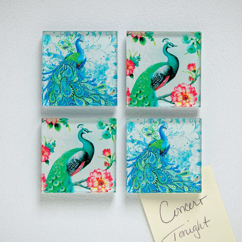 Glass Peacock Magnets