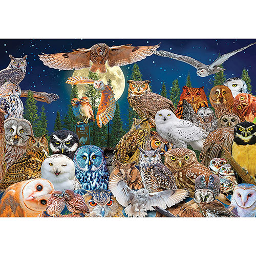 Night Owls 500 Piece Giant Jigsaw Puzzle