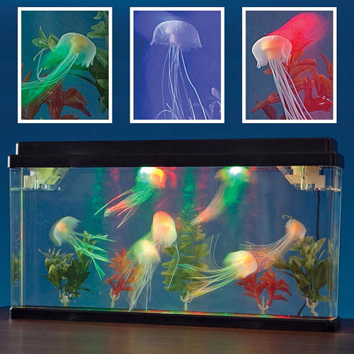 Ocean World Jellyfish Tank