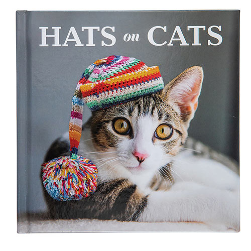 Hats On Cats