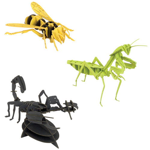 Set of 3: Dimensional Bug Puzzles