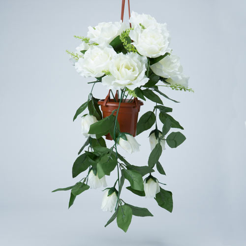 White Cascading Roses