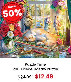 Puzzle Time 2000 Piece Jigsaw Puzzle