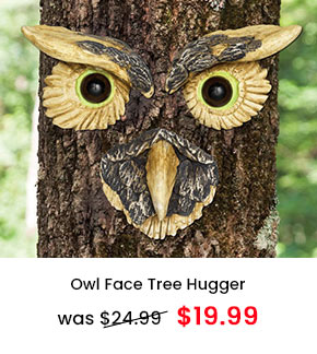 Owl Face Tree Hugger