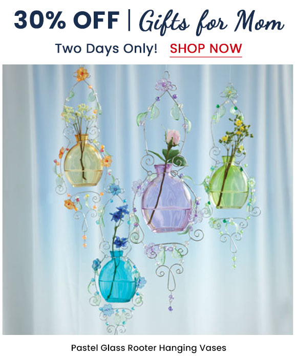 Pastel Glass Rooter Hanging Vases
