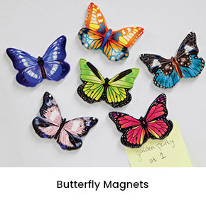 Butterfly Magnets 