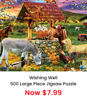  Wishing Well 500 Piece Jigsaw Puzzle