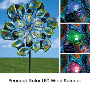 Peacock Solar LED Wind Spinner 