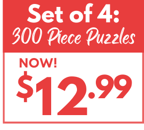 Set of 4: Daniel Ramirez 300 Piece Jigsaw Puzzles