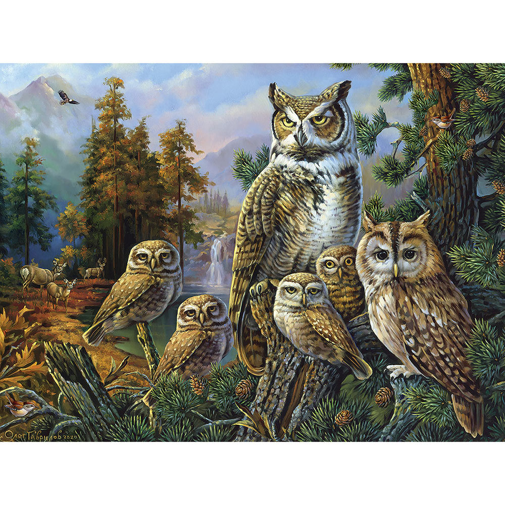 Owl Family 300 Large Piece Jigsaw Puzzle