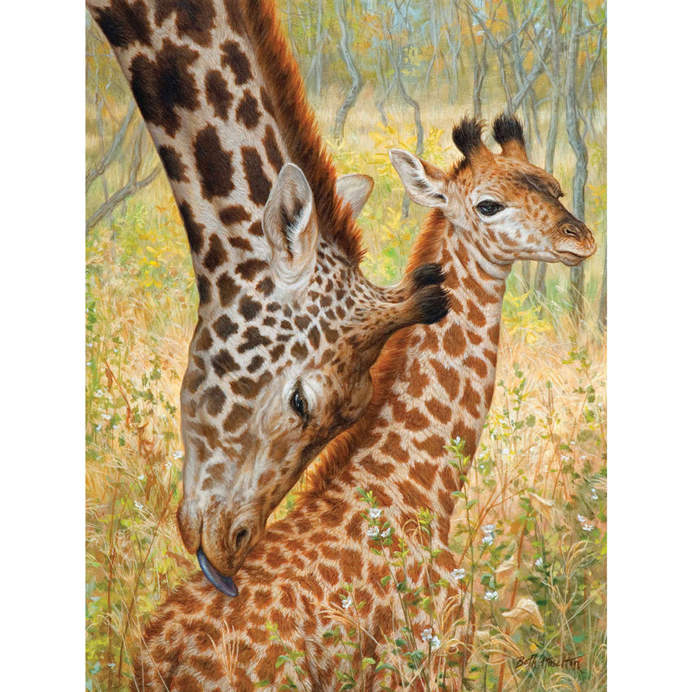 Tender Love-Masai Giraffes 1000 Piece Jigsaw Puzzle