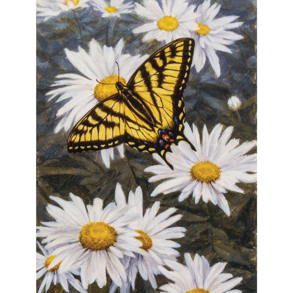 Butterfly Afternoon 500 Piece Jigsaw Puzzle
