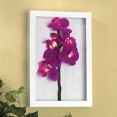 Framed LED Orchid Wall Art