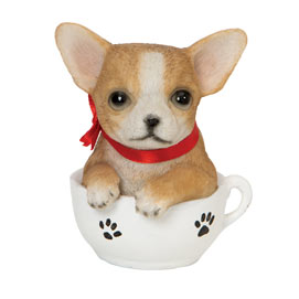 Teacup Puppies - Chihuahua