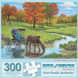 In The Moment 300 Large Piece Jigsaw Puzzle