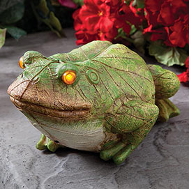 Frog Motion Sensor