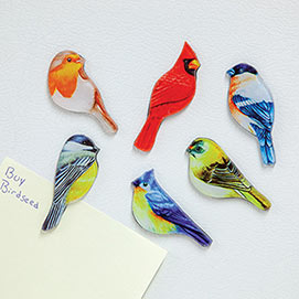 Set of 6: Wildlife Bird Magnets