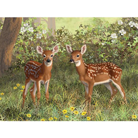 Twin Whitetail Fawns 1000 Piece Jigsaw Puzzle