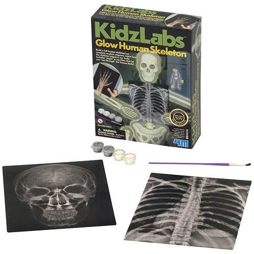 KidzLabs Glow Skeleton Kit