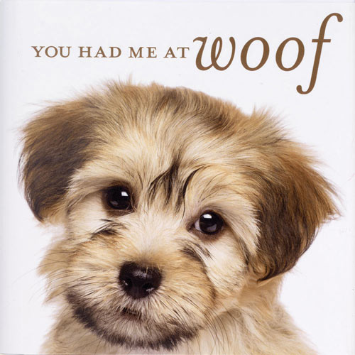 You Had Me At Woof Book