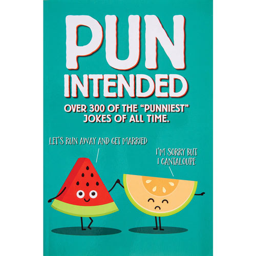 Pun Intended Joke Book