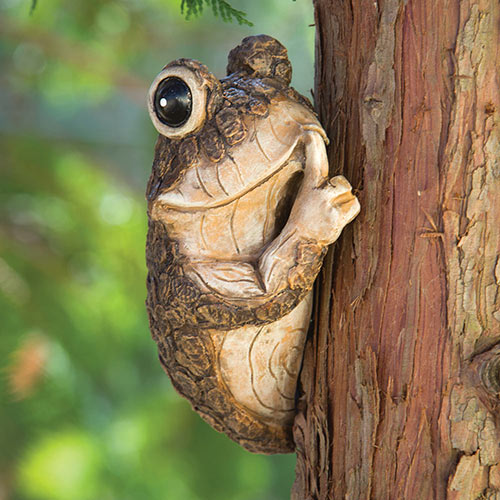 Keep Quiet Frog on a Tree