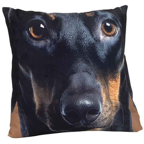 Dog Face Pillow - Dachshund