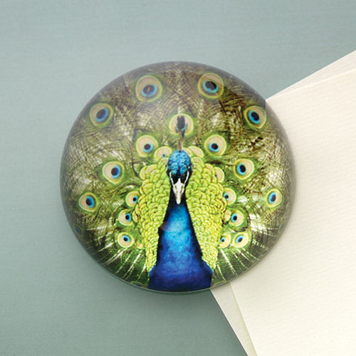 Peacock Glass Paperweight