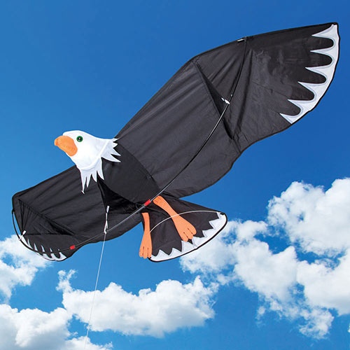 Giant Bald Eagle Kite
