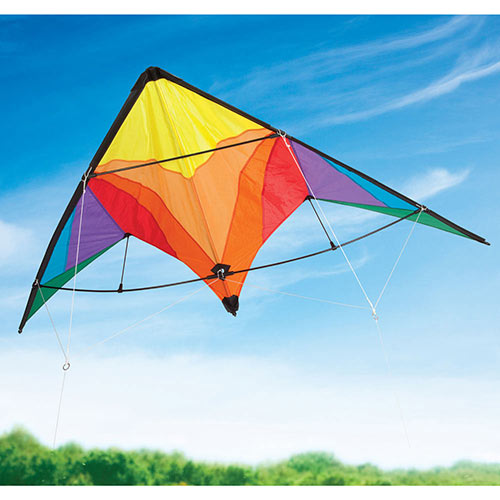Rainbow Delta Stunt Kite 