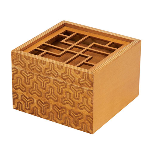The King's Fortune Puzzle Box Brainteaser