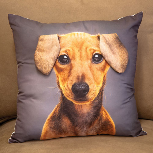 Dachshund Pillow With 3D Ears