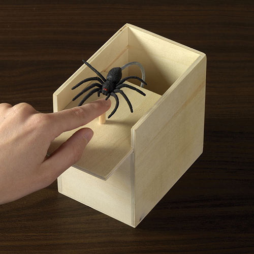 Spider Surprise Secret Money Box