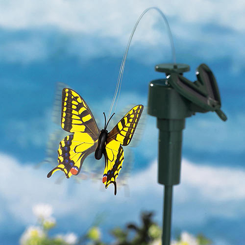 Yellow Swallowtail Solar Flutter Butterfly