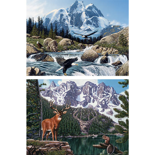 Set of 2: Hidden Image 300 Large Piece Jigsaw Puzzles