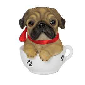 Pug Teacup Puppy