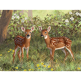Twin Whitetail Fawns 300 Large Piece Jigsaw Puzzle