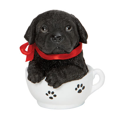 Black Lab Teacup Puppy