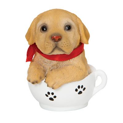 Golden Retrieve Teacup Puppy