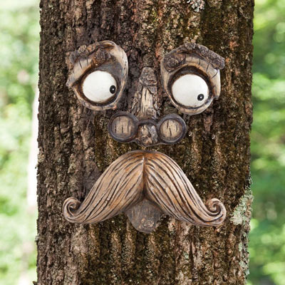 Old Man Tree Face